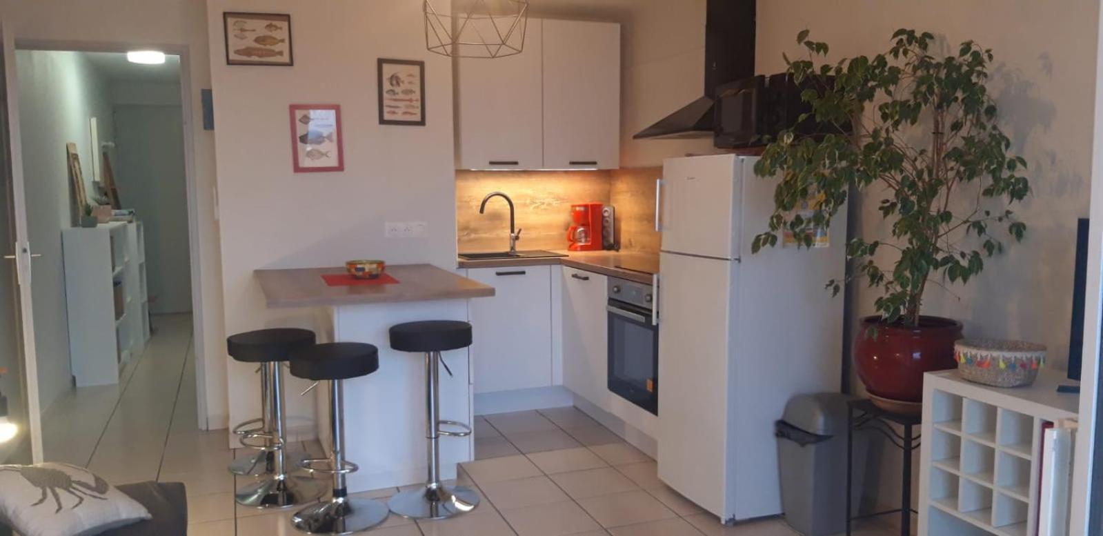 Appartement F2 Proche Des Criques Et Thalasso Banyuls-sur-Mer Exteriör bild